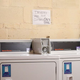Image for article titled Cryptic New Laundry Room Rule Hints At Tale Of Bizarre Infraction